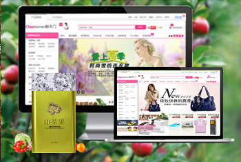 ���ӳ������̳�