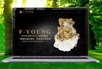 ���Ӹ������ﱦʯ